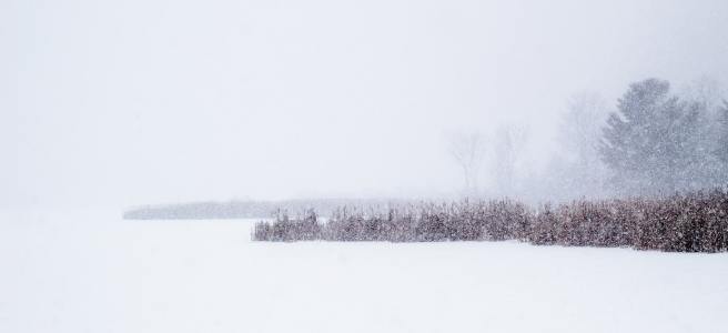 Photo: Jessica Johnston